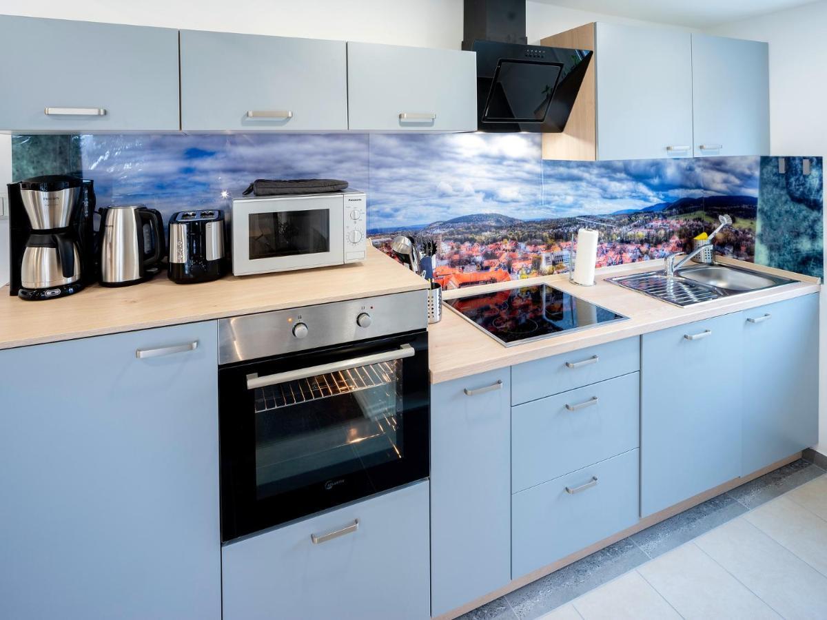 Apartmán Haus Der Elemente Goslar Exteriér fotografie